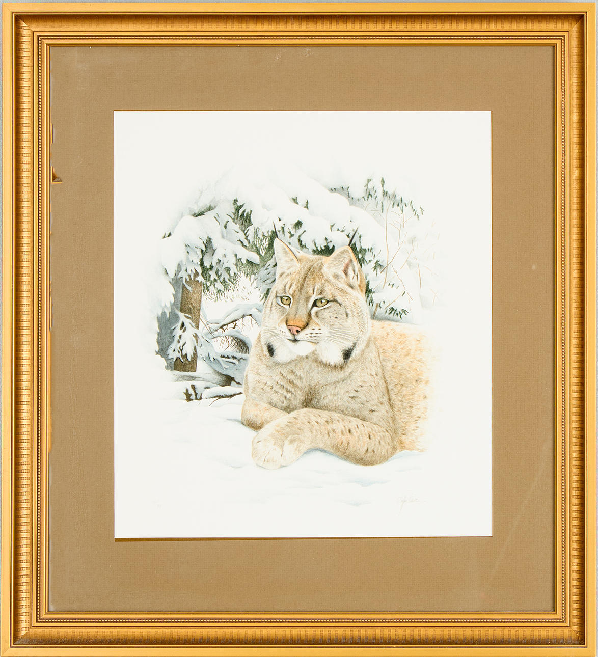 STAFFAN ULLSTRÖM. Lynx.