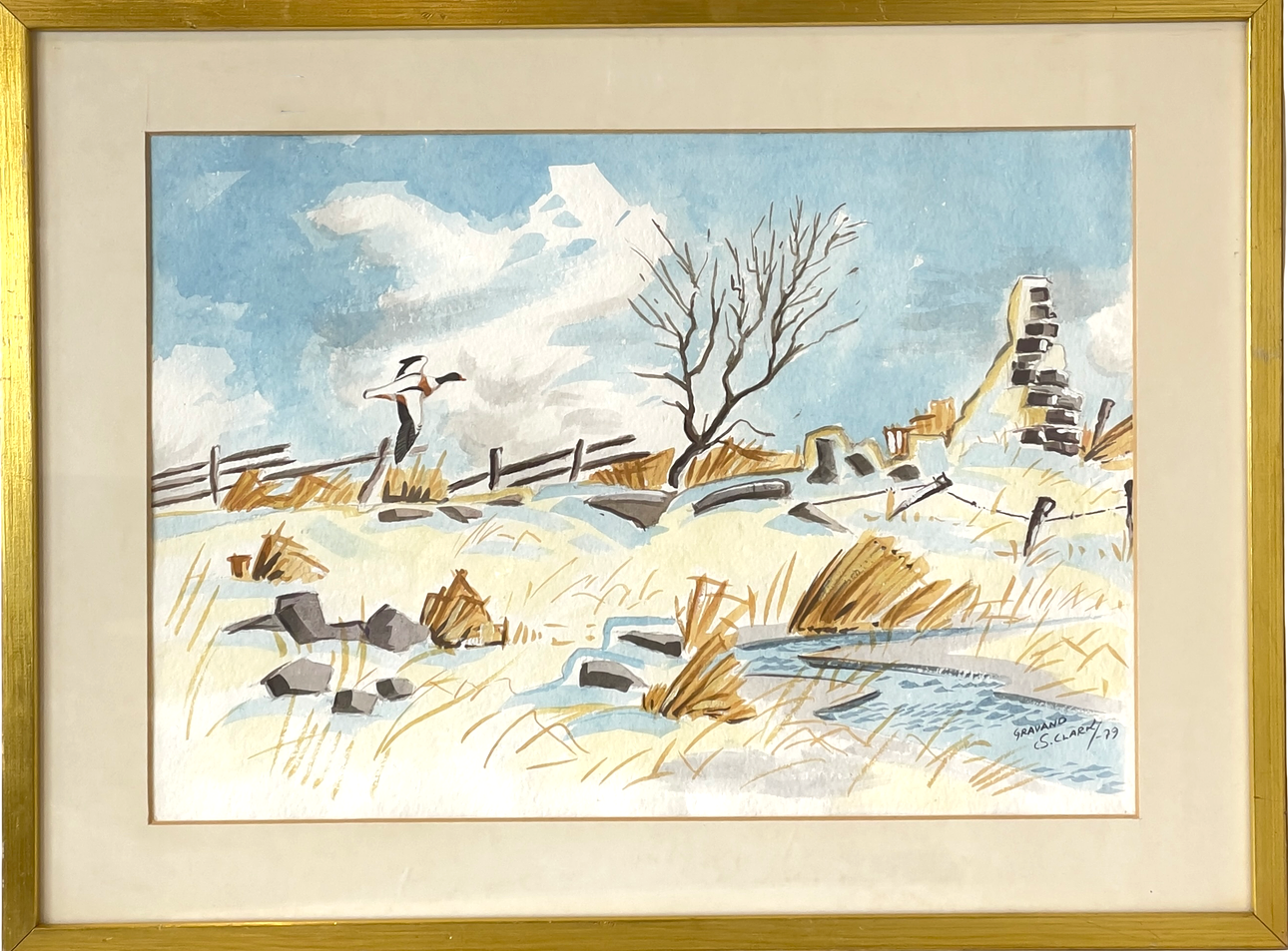 STEPHEN CLARK. "Common Shelduck", watercolour on paper, signed & dated S. Clark -79.