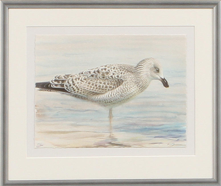 LARS JONSSON. "Dyning, gråtrut". Färglitografi, signerad och numrerad 285/366.