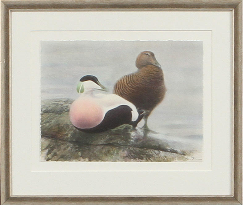 LARS JONSSON. Ejderpar. Färglitografi, signerad och numrerad 285/366.