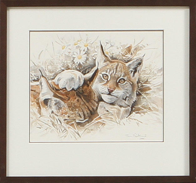 TOM BJÖRKLUND. Lodjur. Akvarell, signerad och daterad 2000.