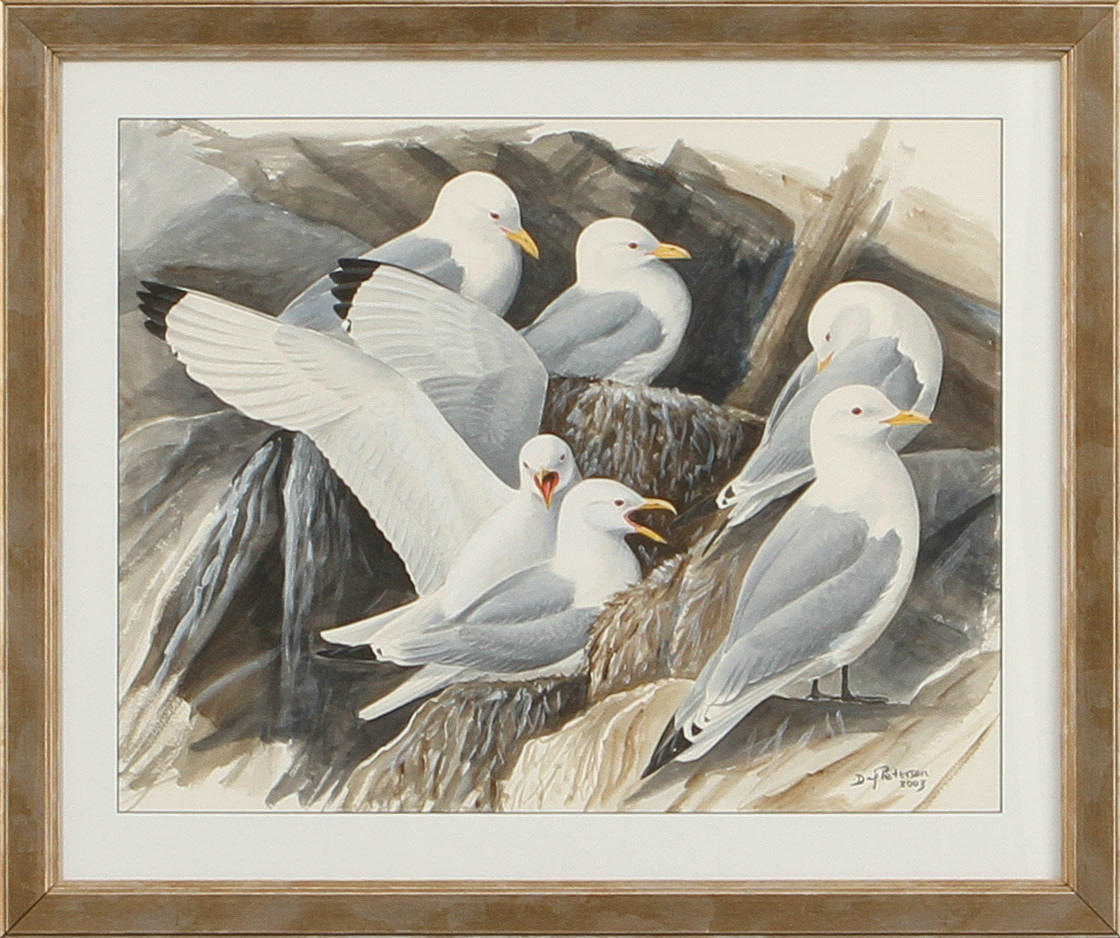 DAG PETERSON. Tretåig mås. Akvarell, signerad och daterad 2003.