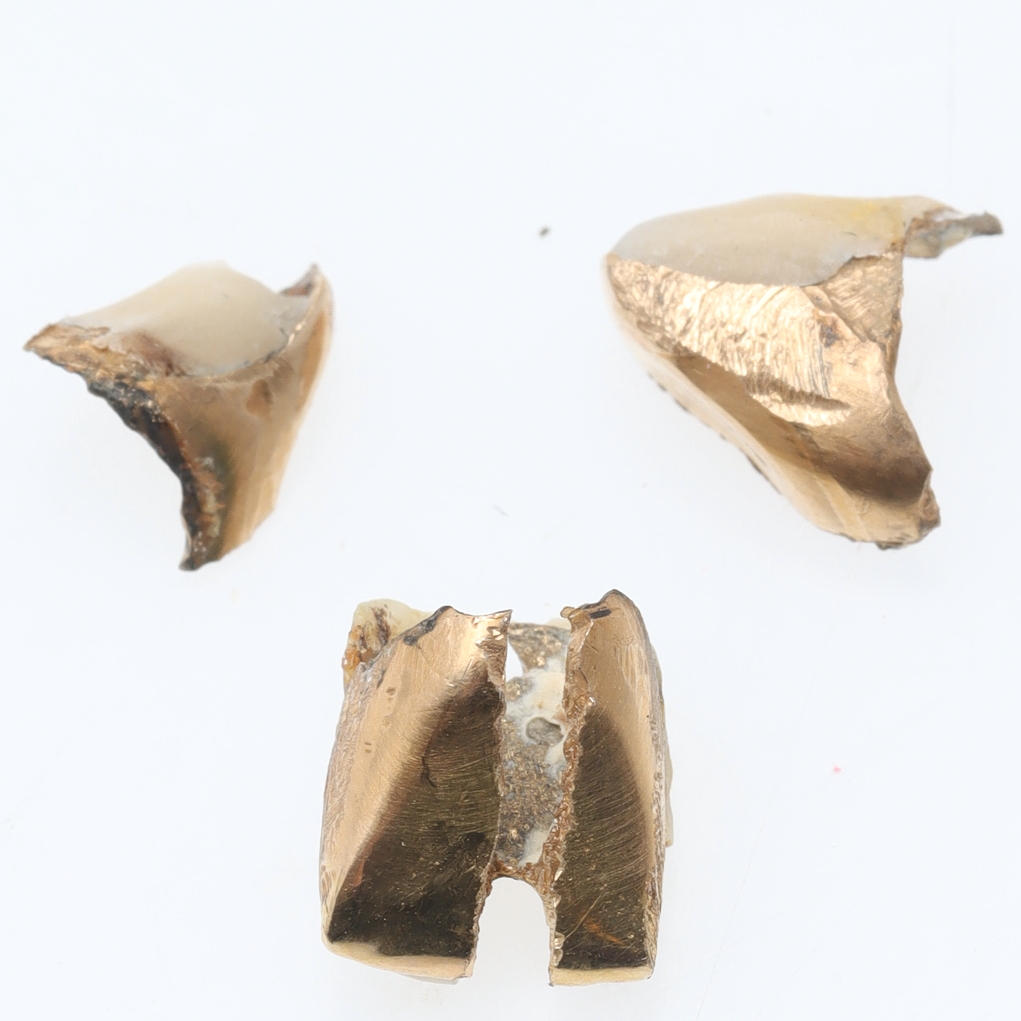 TANDGULD, ca 2,5 gram, orensat.