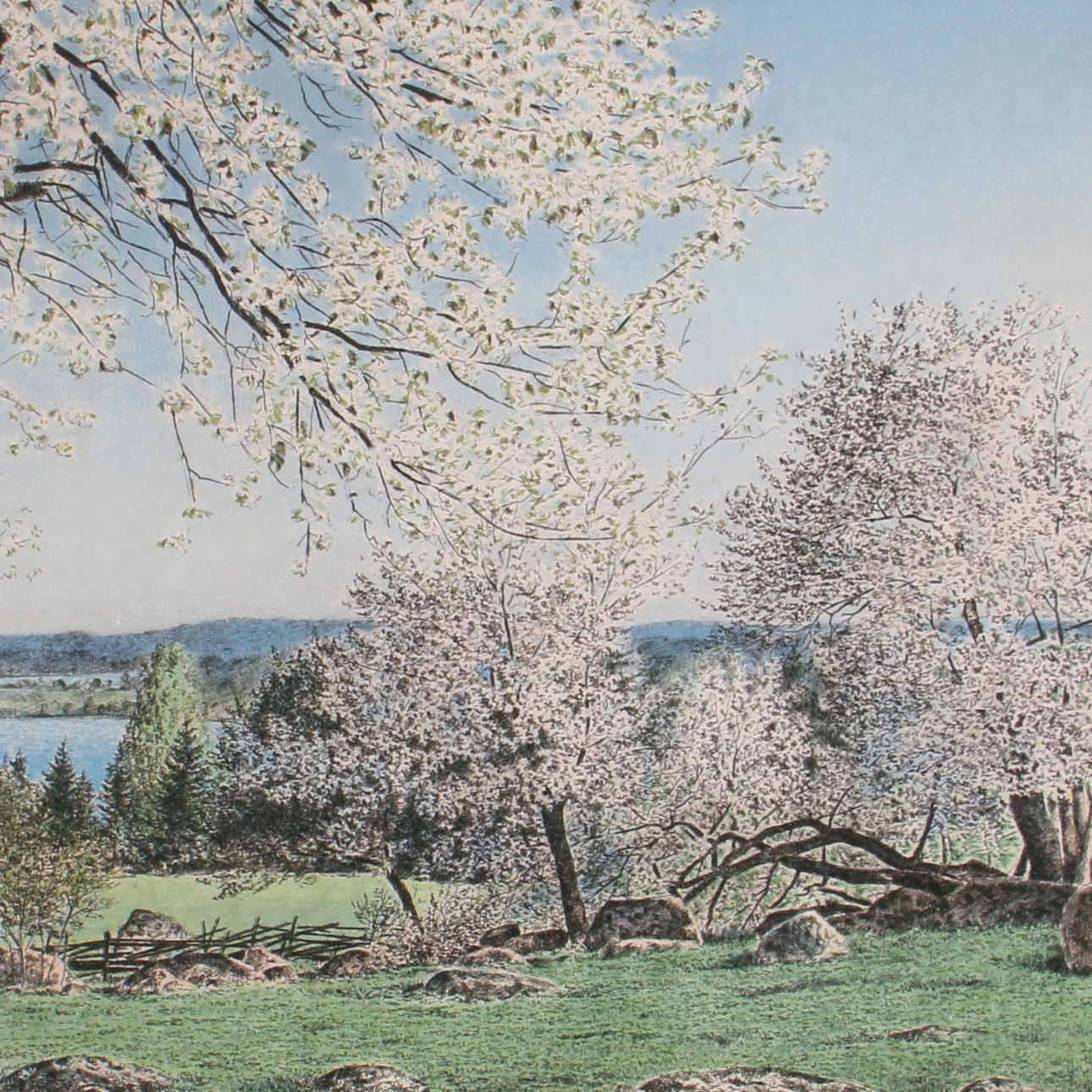 REINHOLD LJUNGGREN. Färglitografi, signerad samt numrerad 31/250.