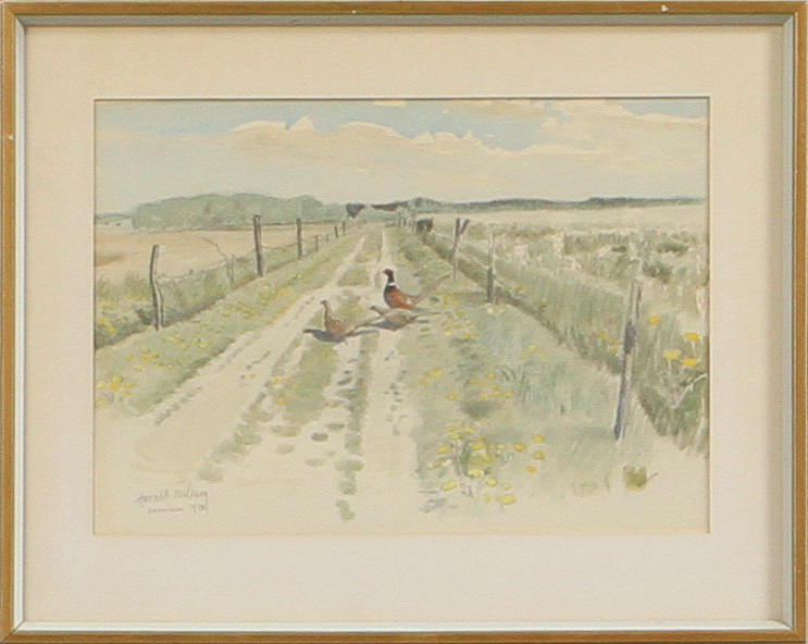 HARALD WIBERG. Fasaner. Akvarell, signerad och daterad sommaren 1972.