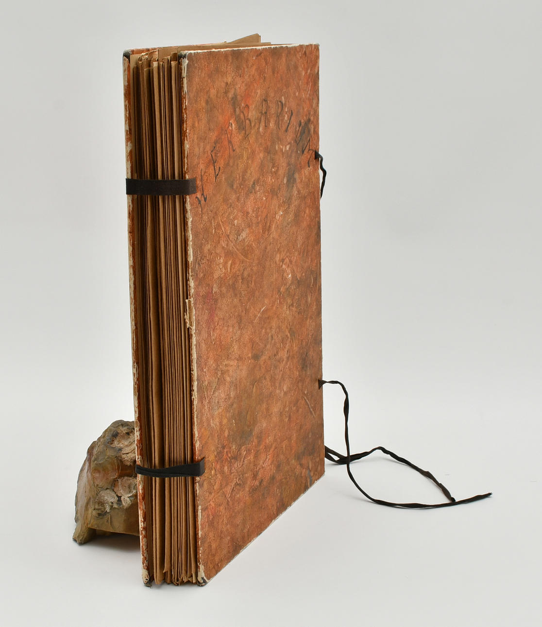 Herbarium Malmö 1937-38.