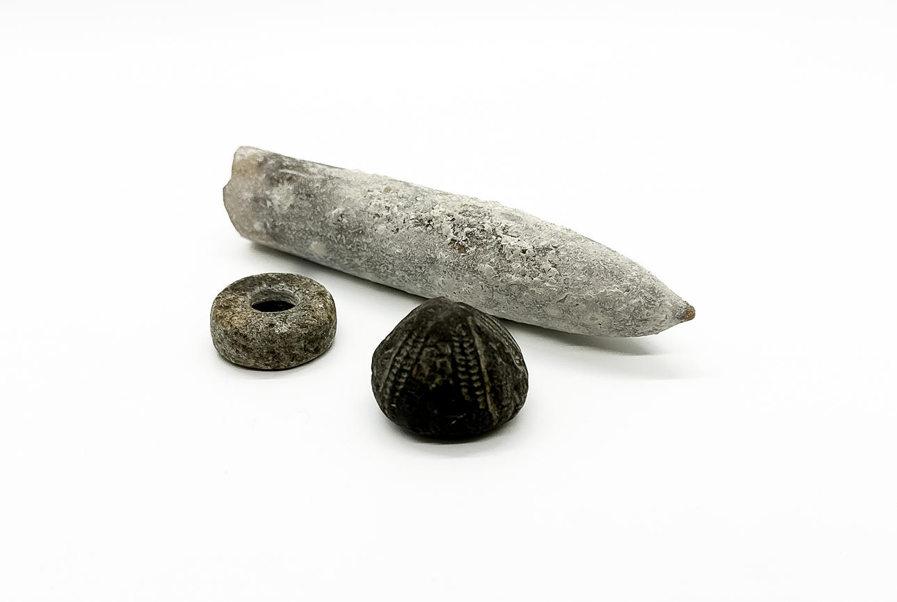 Archaeological find. Including fossils.