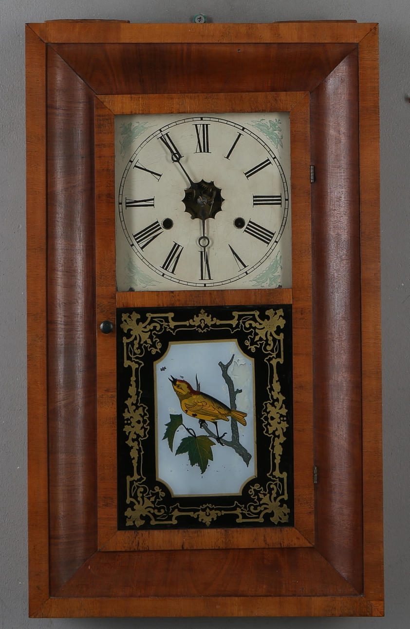 ARMERIKAUR, 18/1900-tal.