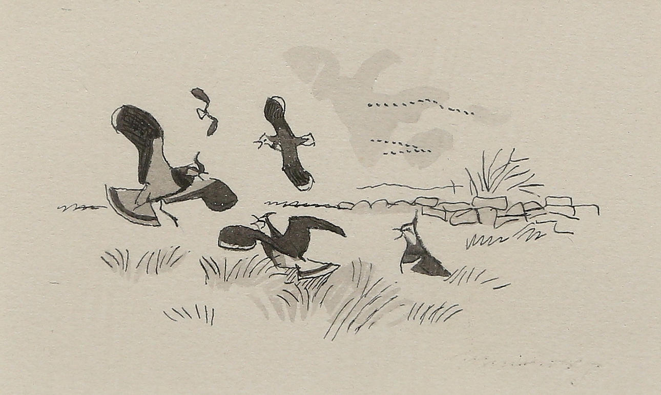 GUNNAR BRUSEWITZ. drawing, indistinctly signed.