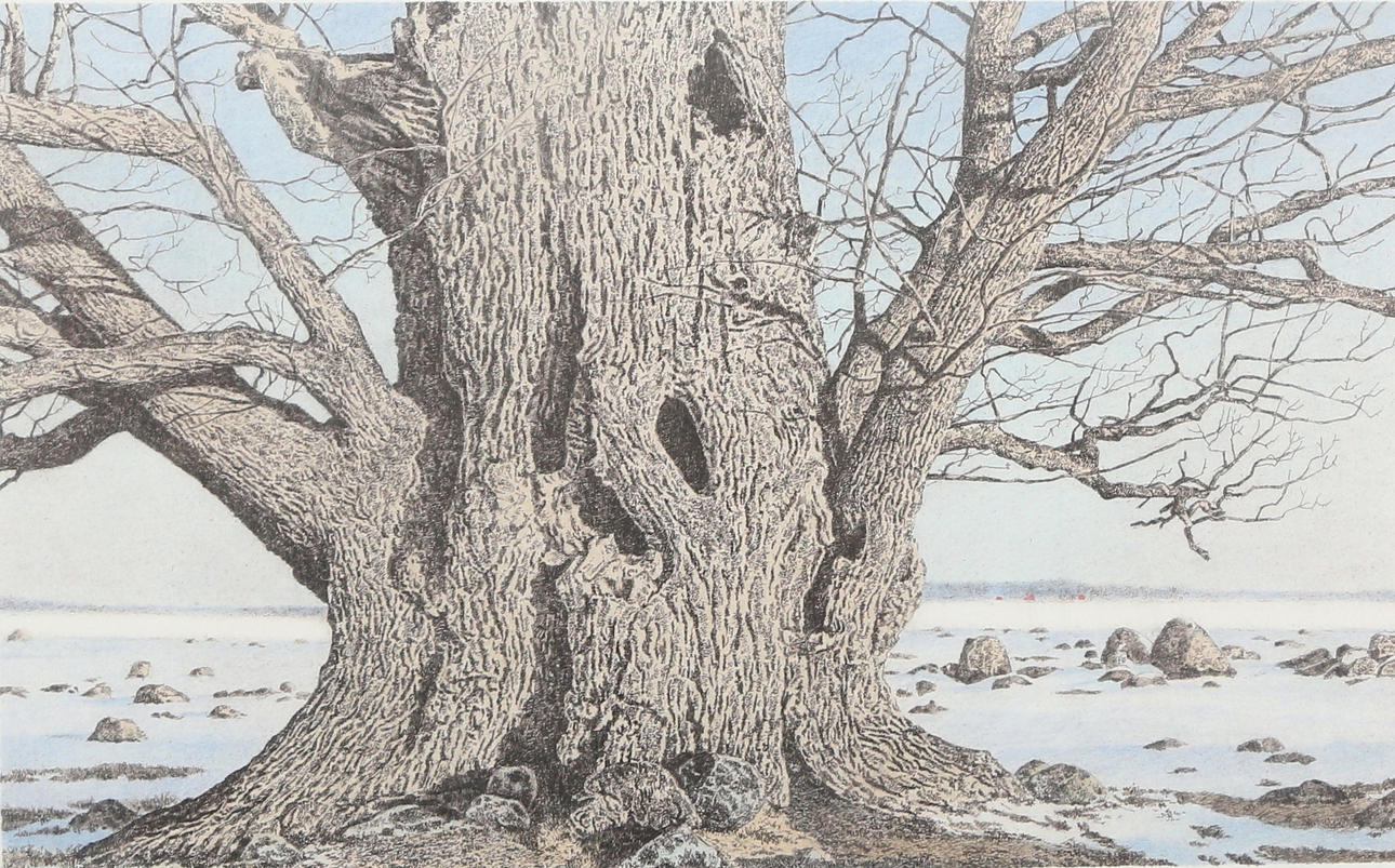 REINHOLD LJUNGGREN. lithograph, signed and numbered.