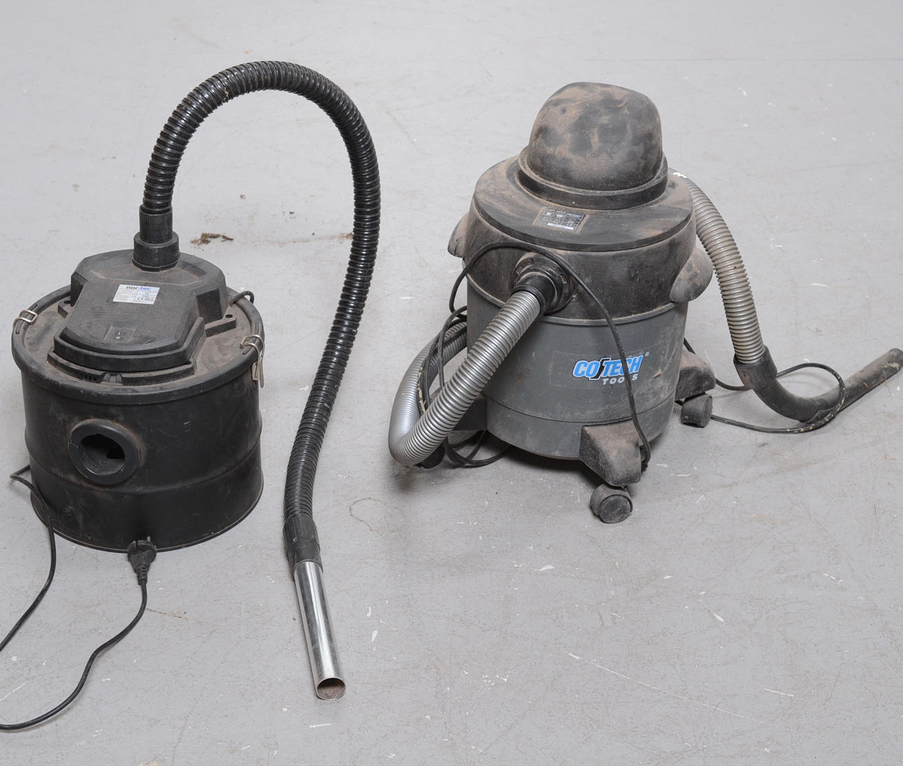 GROVDAMMSUGARE, ASKSUG.