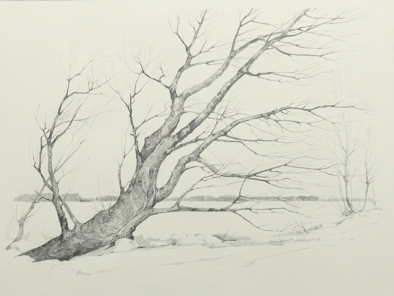 SVEN ERIK HELLQUIST. Drawing, signed and dated 82.