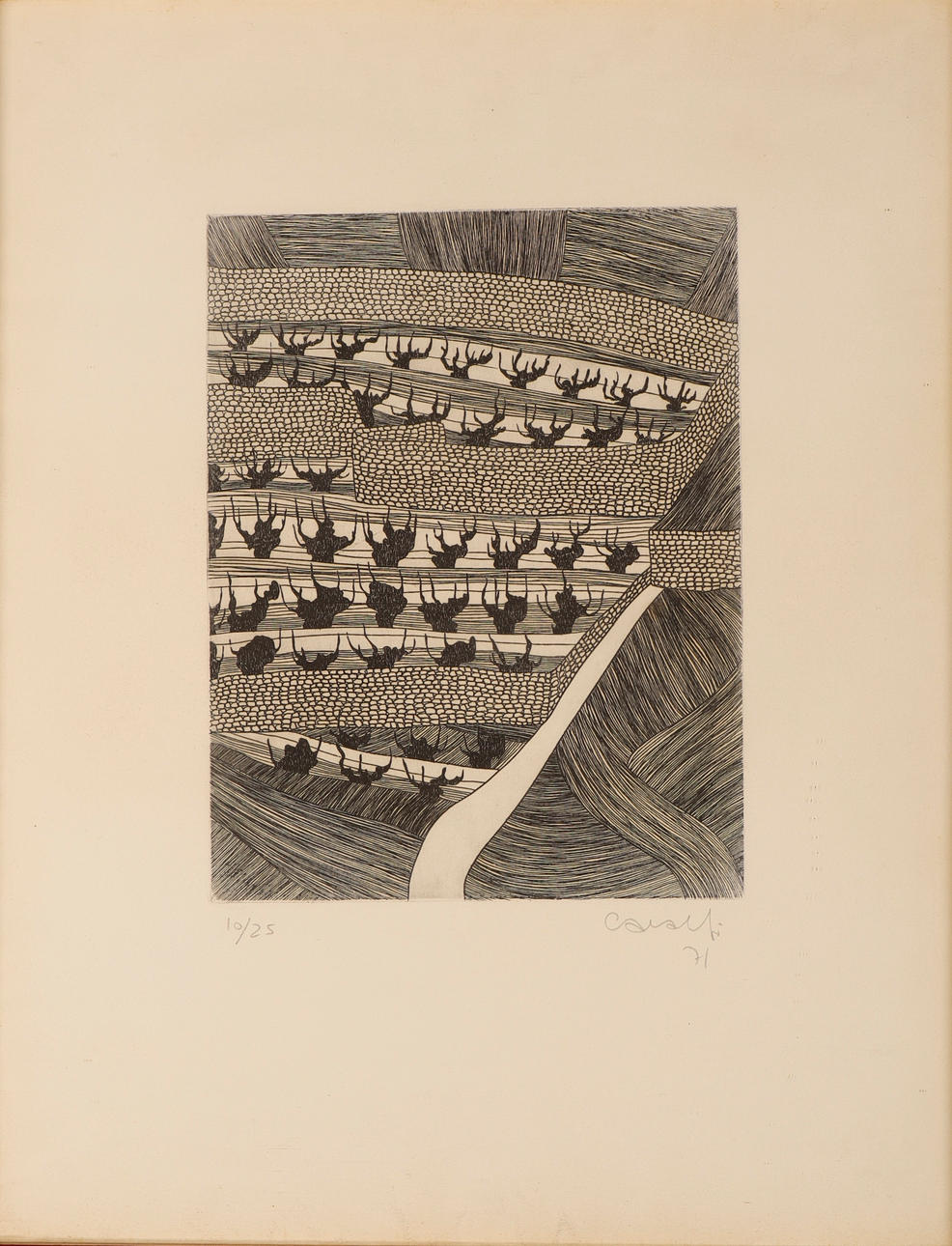 CAVALLI. Landscape.