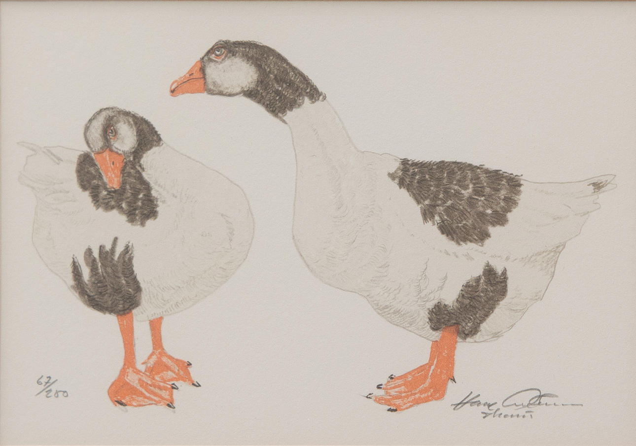 HANS ANDERSSON (1926–2003). Two geese, lithograph no. 67/280, signed.