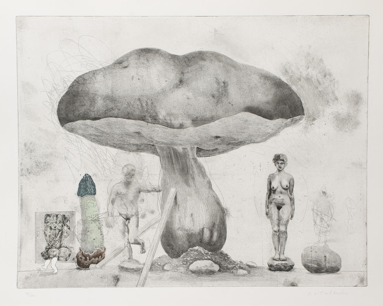PER GUNNAR THELANDER. Mushroom, etching, signed and numbered.