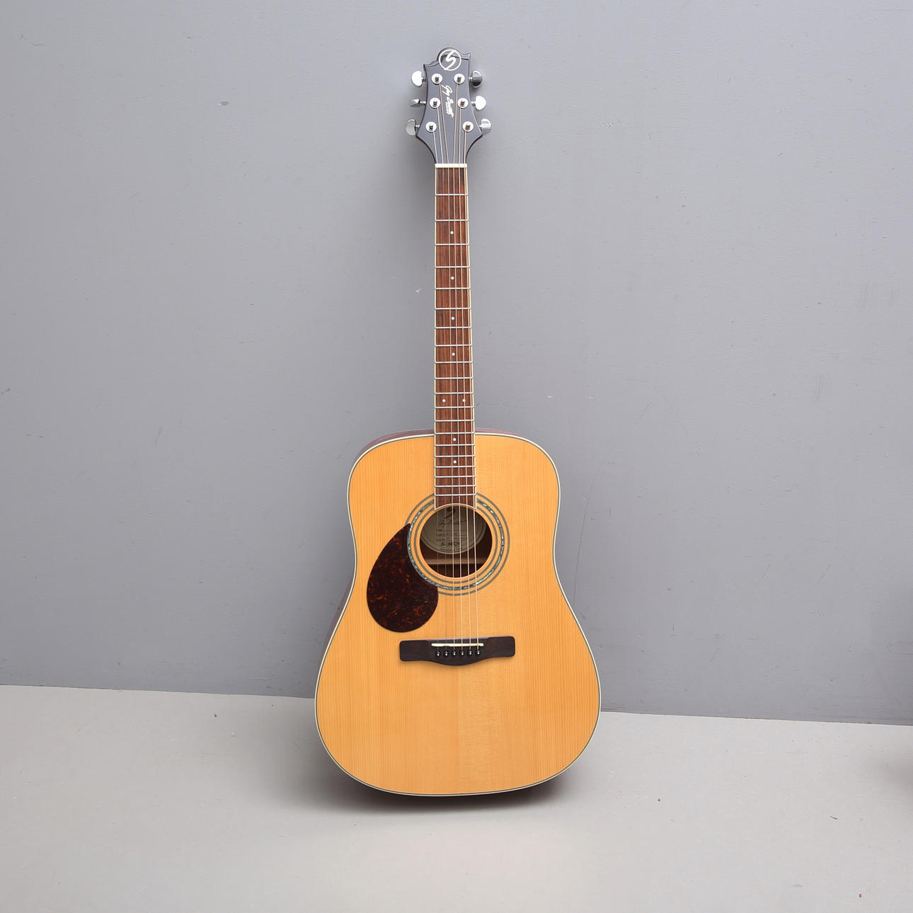 GUITAR, with case, Greg Bennett "D-5/LH".