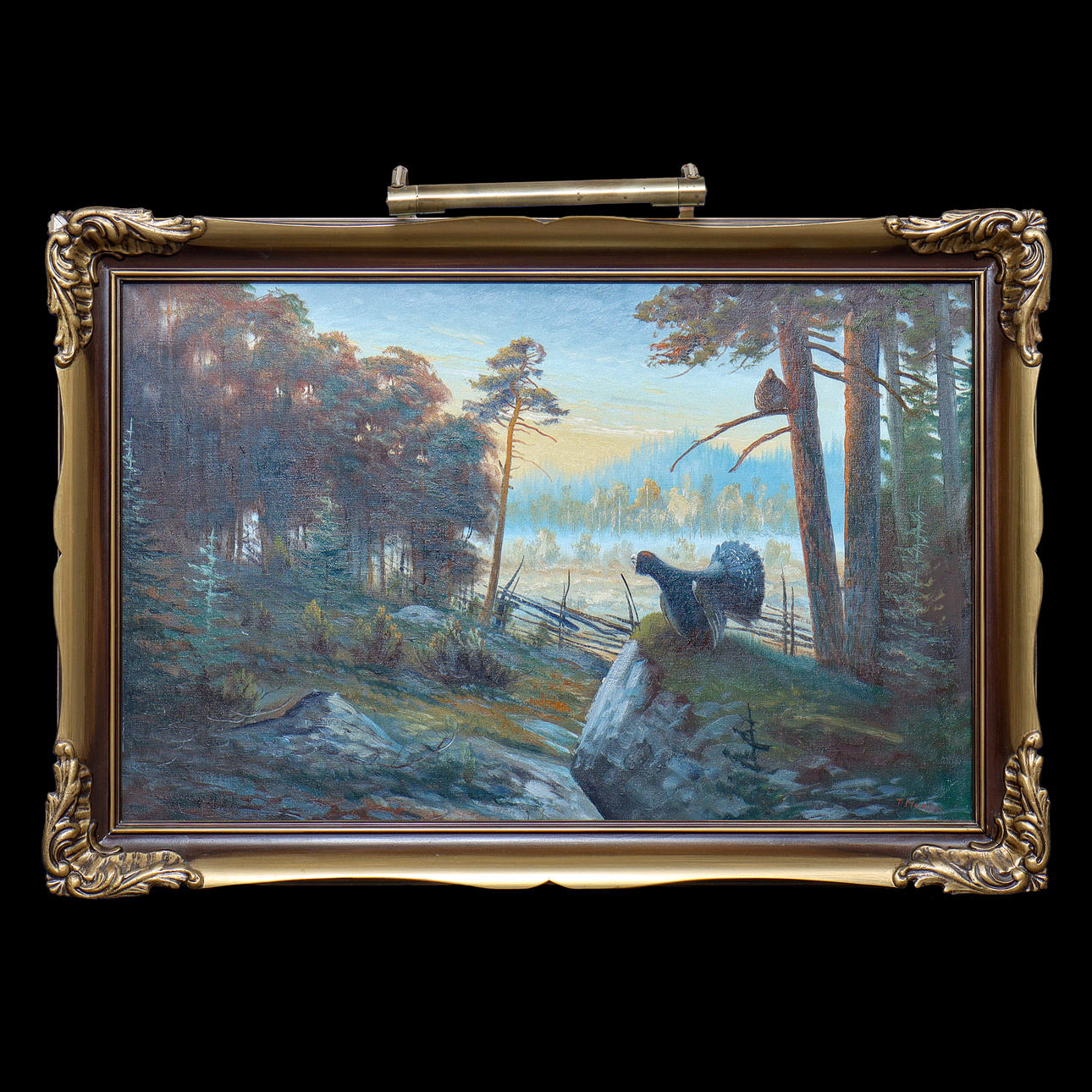 TORSTEN MEULLER, "CAPERCAILLIE" OIL ON CANVAS, SIGNED.
