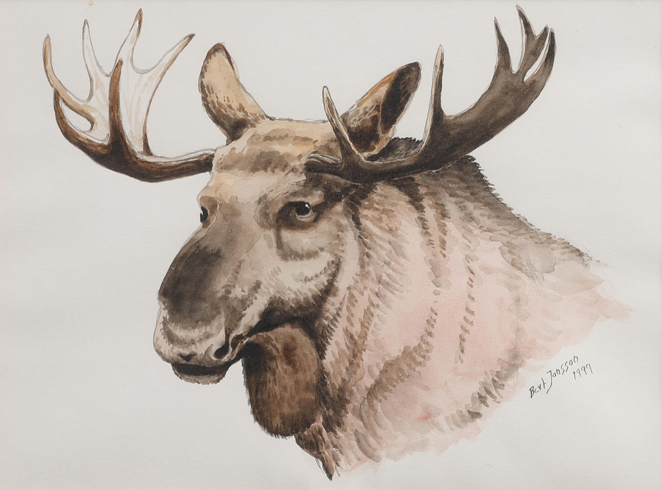 BERT JONSSON. MOOSE, WATERCOLOUR, SIGNED AND DATED 1999.