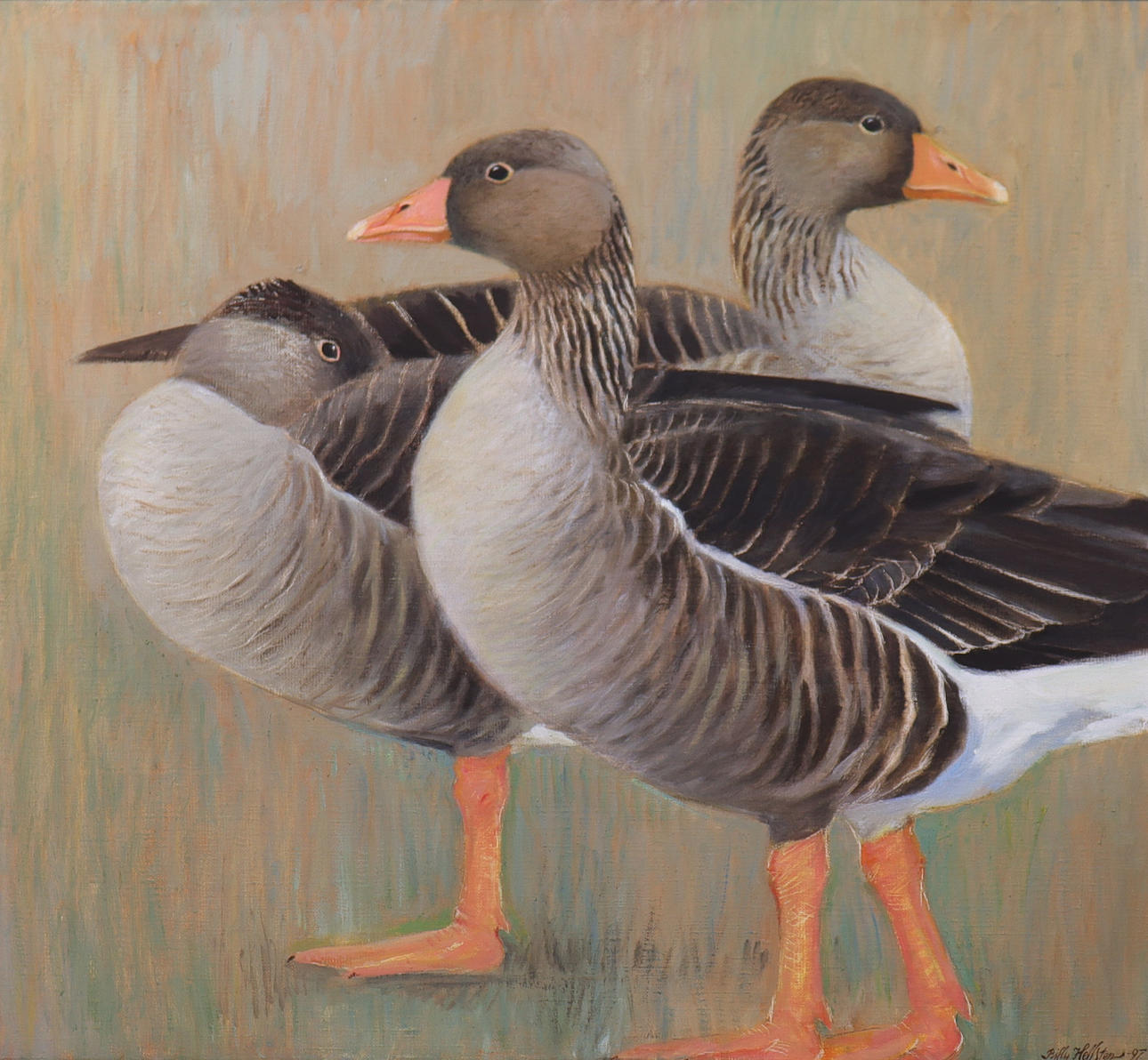 BILLY HELLSTEN (1931-2016). oil on canvas, greylag geese.