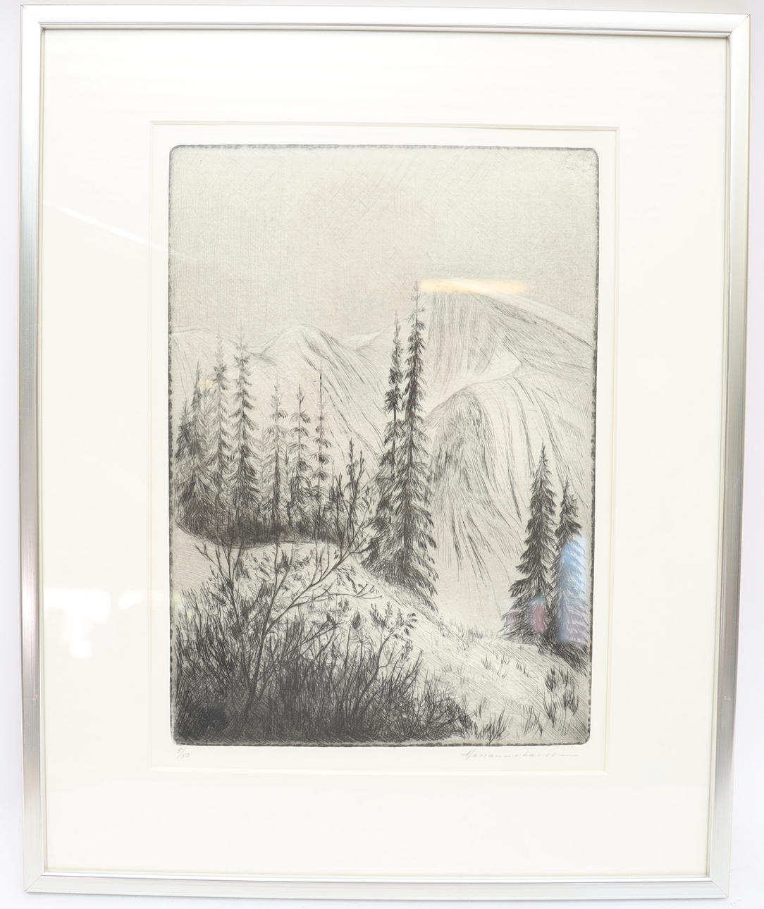 MARIANNE LARSSON. Forest scene, etching, signed and numbered.