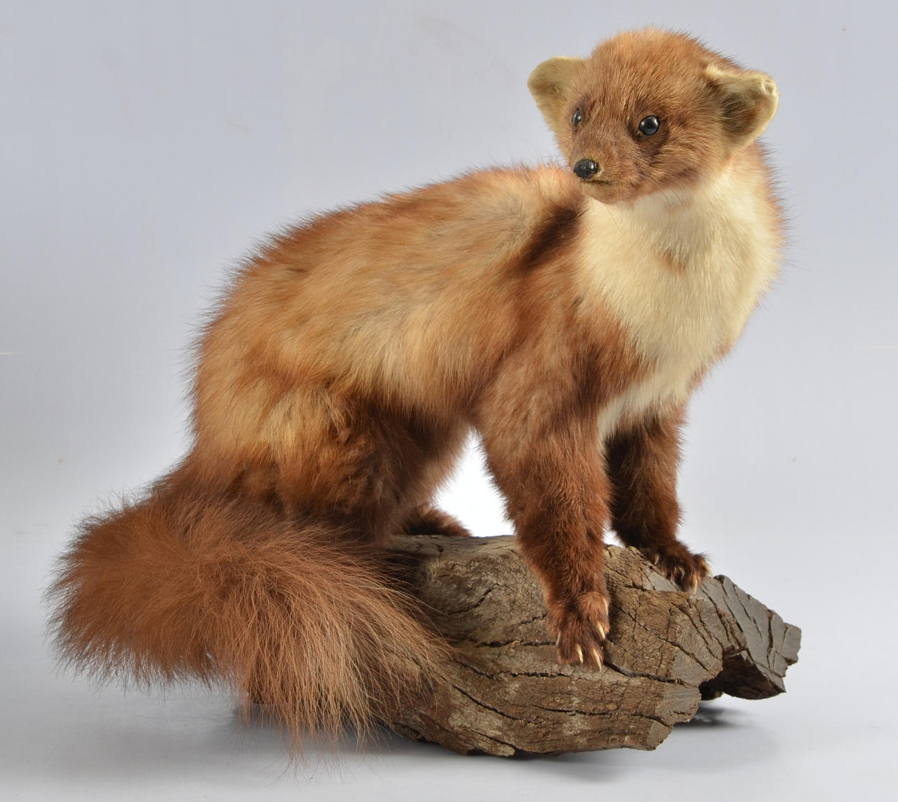 UPPSTOPPAD ILLER, 1900-tal.