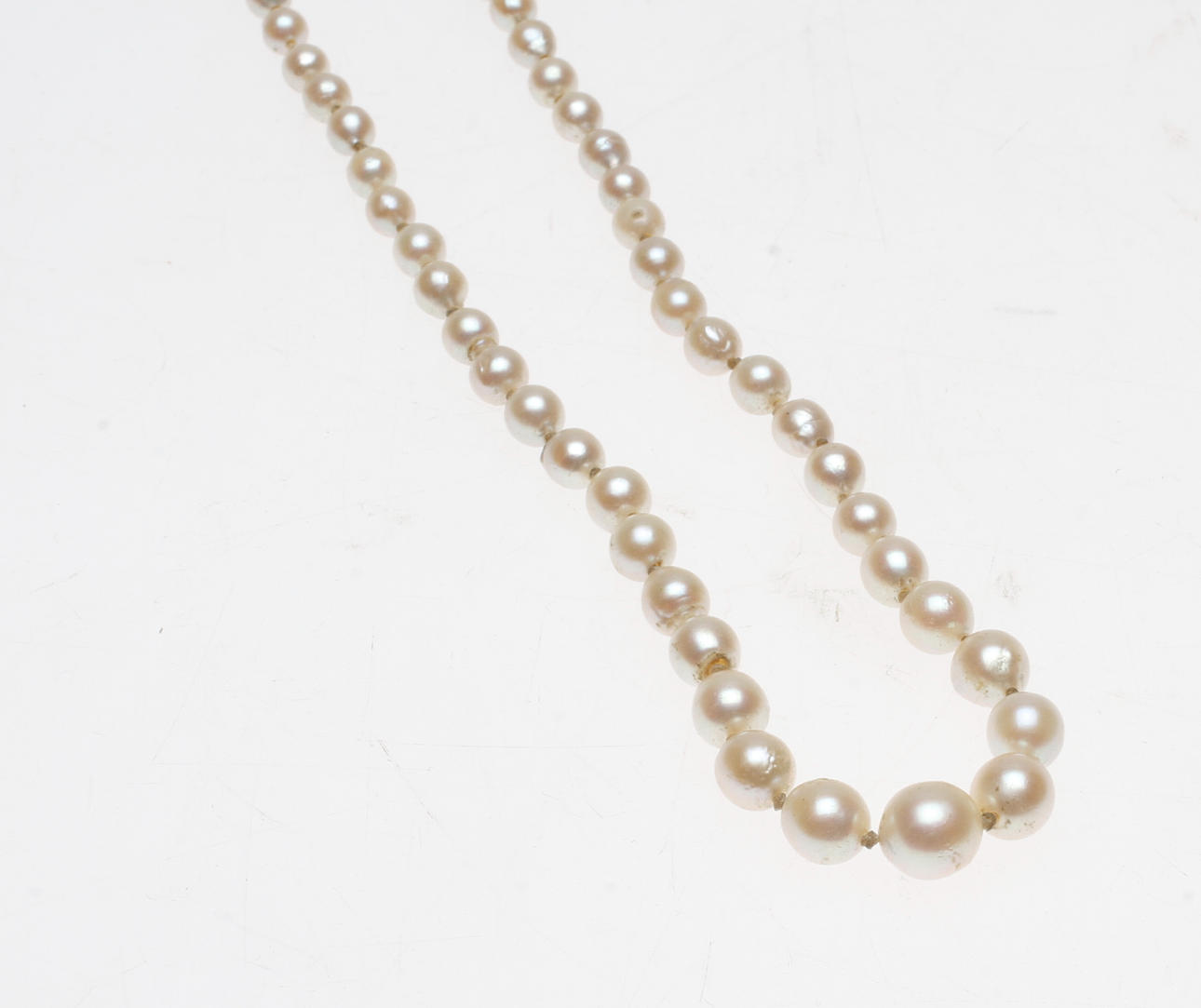 Pärlcollie med silverlås.