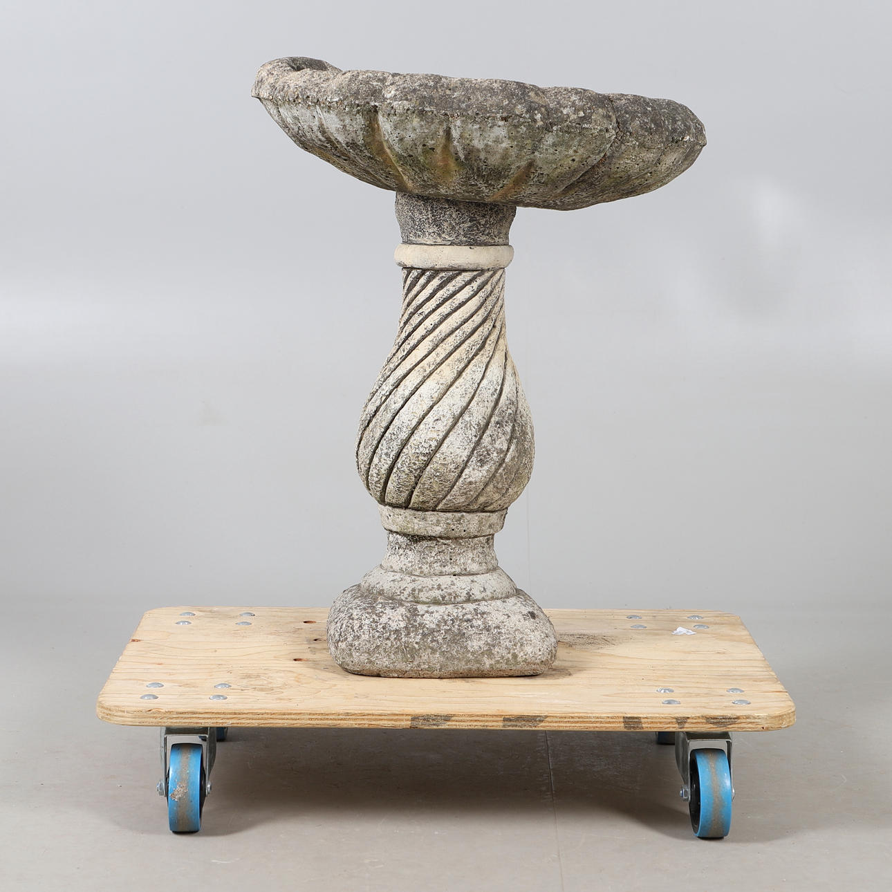 A CONCRETE SHELL SHAPED BIRD BATH.
