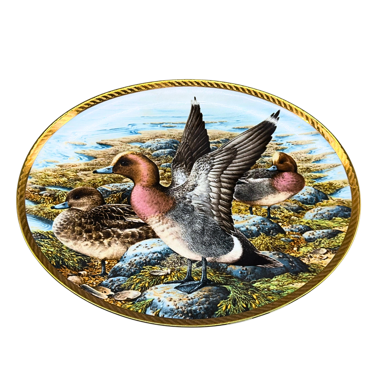 RAYMOND WATSON. PORSLINSSAMLARTALLRIK FRÅN FRANKLIN UR SERIEN "THE WILD DUCKS OF EUROPE"