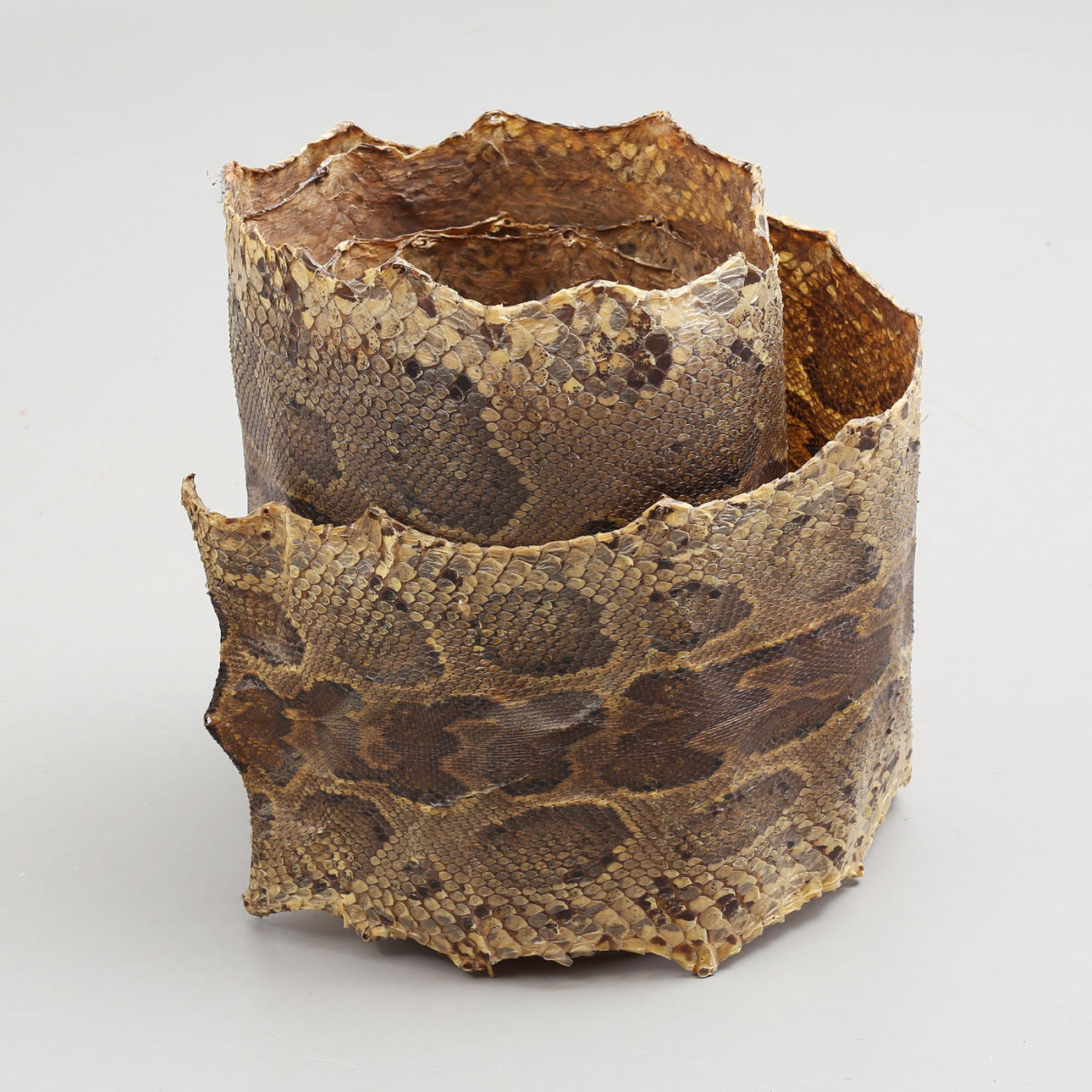 SNAKESKIN, python, 1950s.