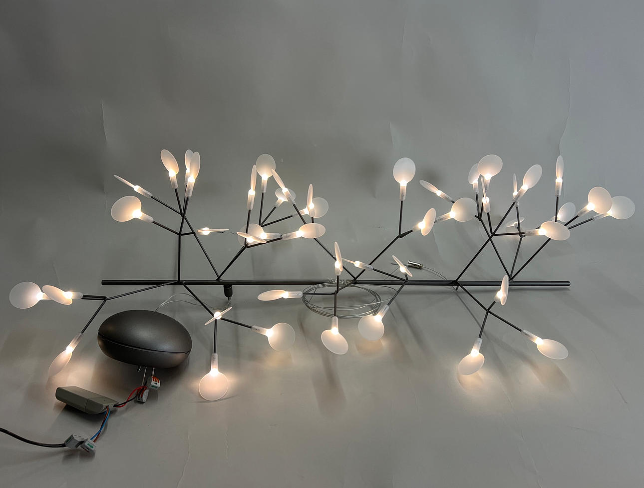 BERTJAN POT. MOOOI HERACLEUM ENDLESS.