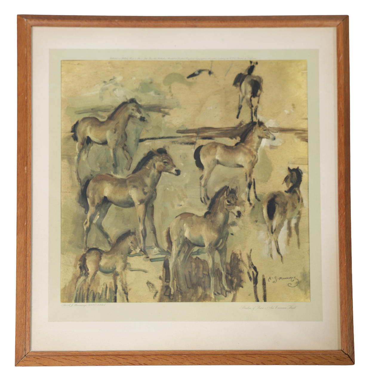 AFTER A.J. MUNNINGS, STUDIES OF PIXIE.