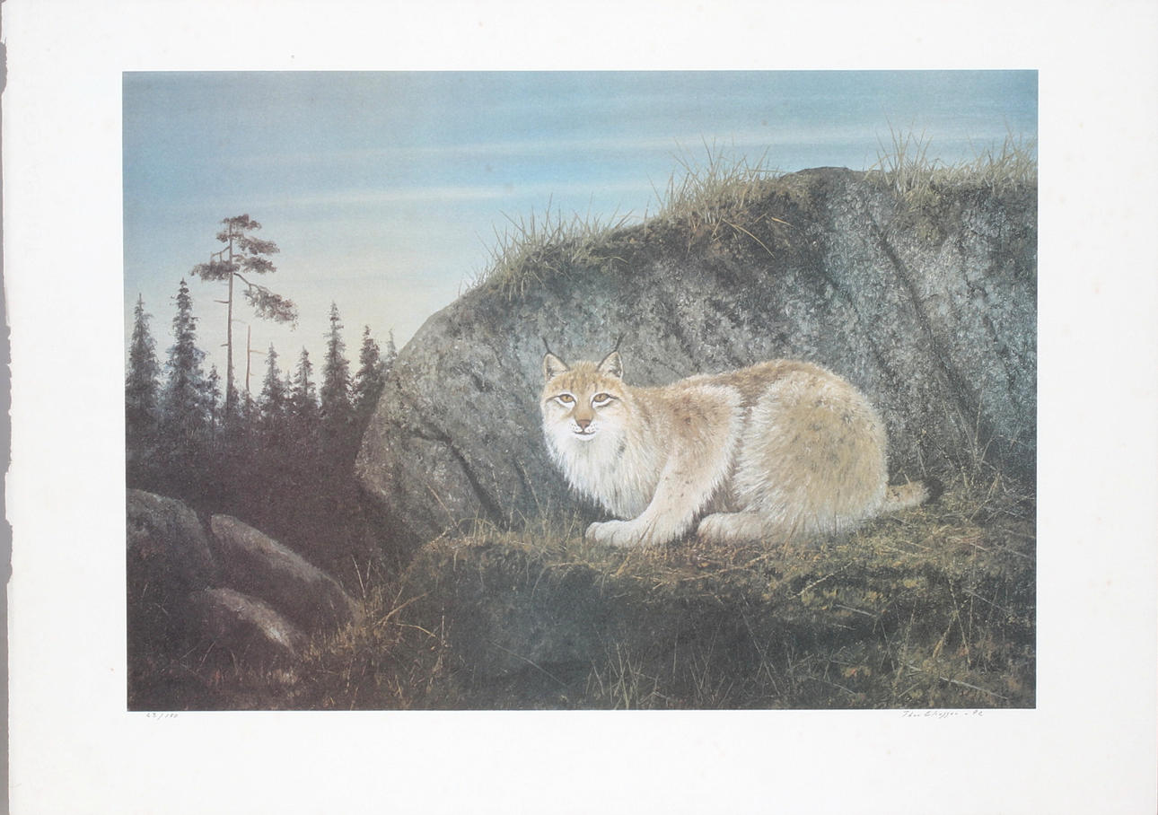 THOR ELIASSON. Lynx, colour lithograph, signed and numbered 23/150 and dated -92.