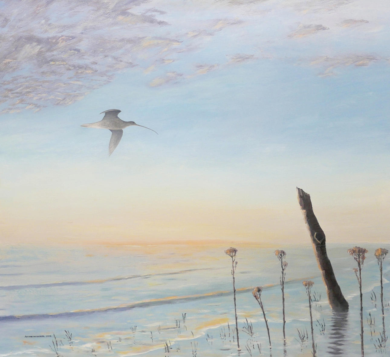 JULIAN NOVOROL (BRITISH, 1949-2026): CURLEW IN FLIGHT ALONG A SHORELINE.