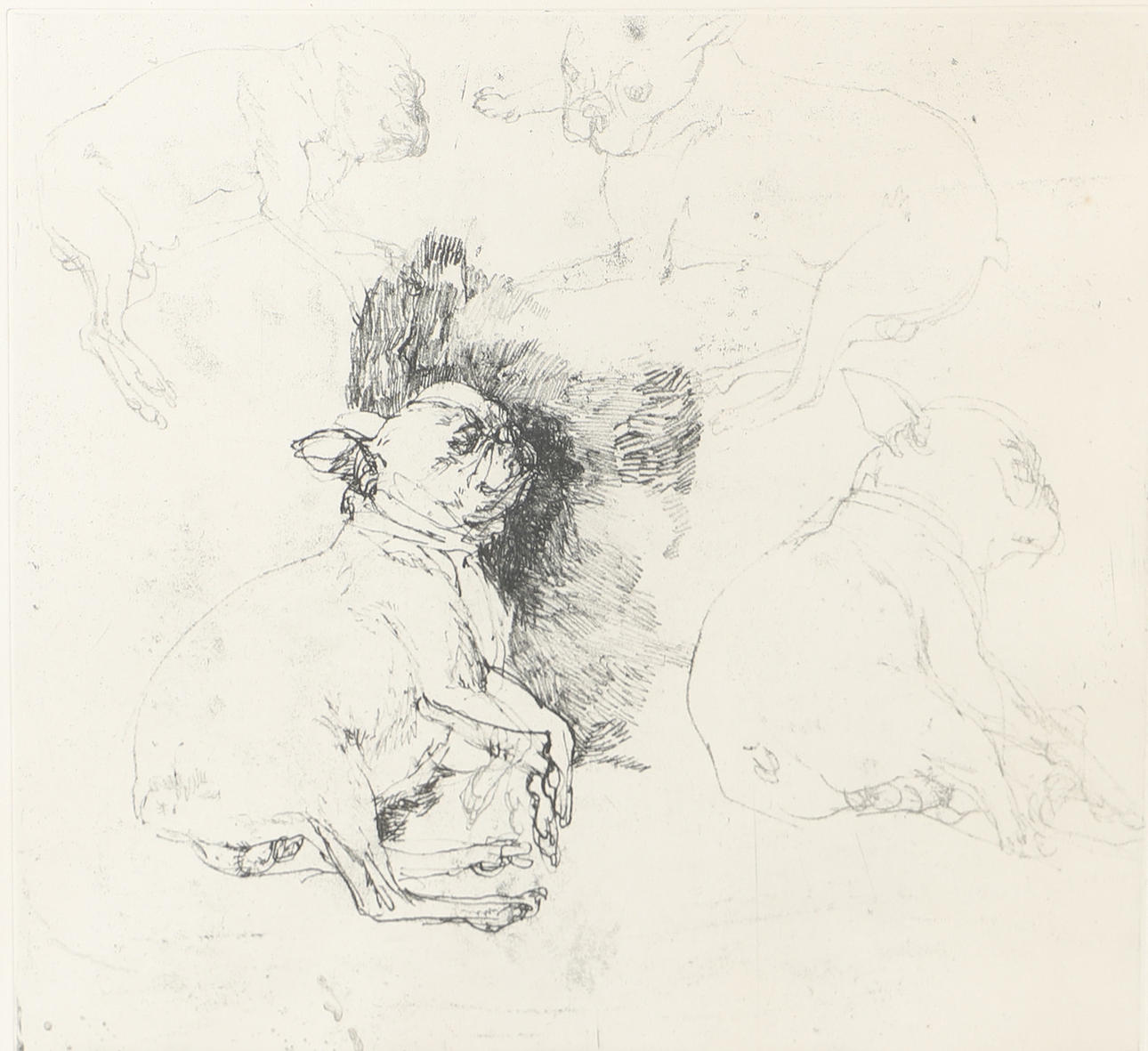 SVENROBERT LUNDQUIST. Dogs, etching, signed.