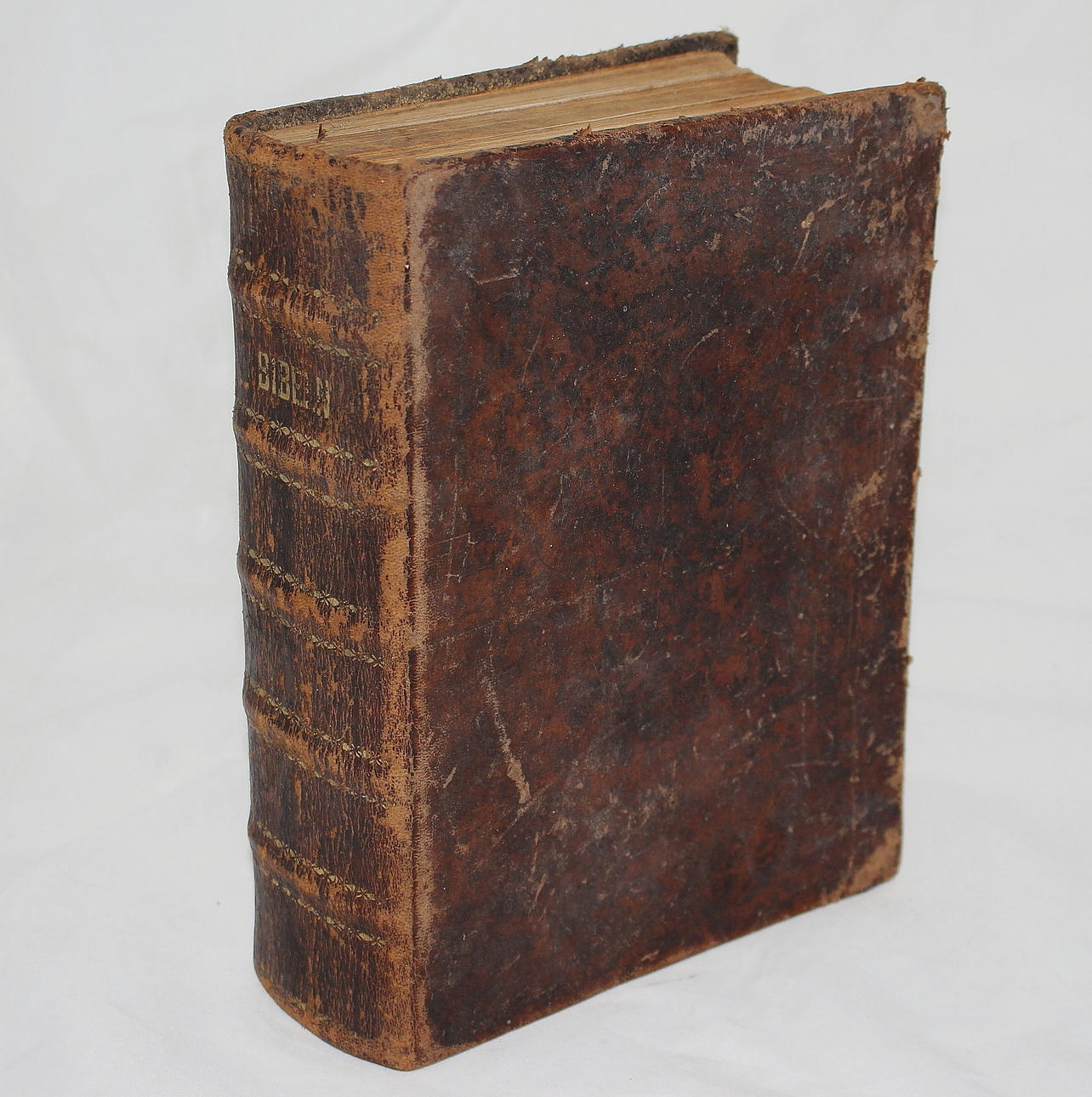 ILLUSTRERAD FAMILJEBIBEL, 1895.