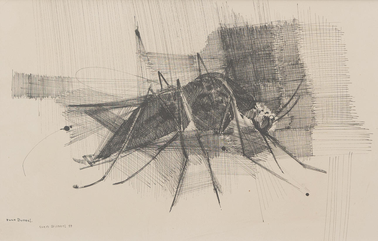 SVEN BUNNEL (1929-2004). Insect, ink, signed and dated -59.