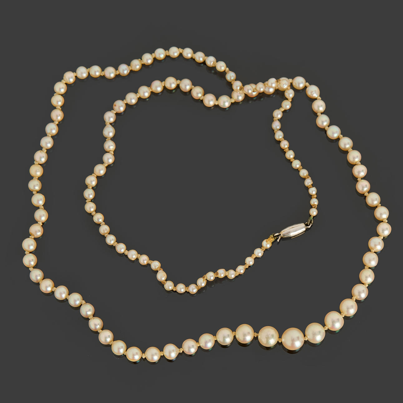 PÄRLCOLLIER, doserade odlade pärlor, silverlås