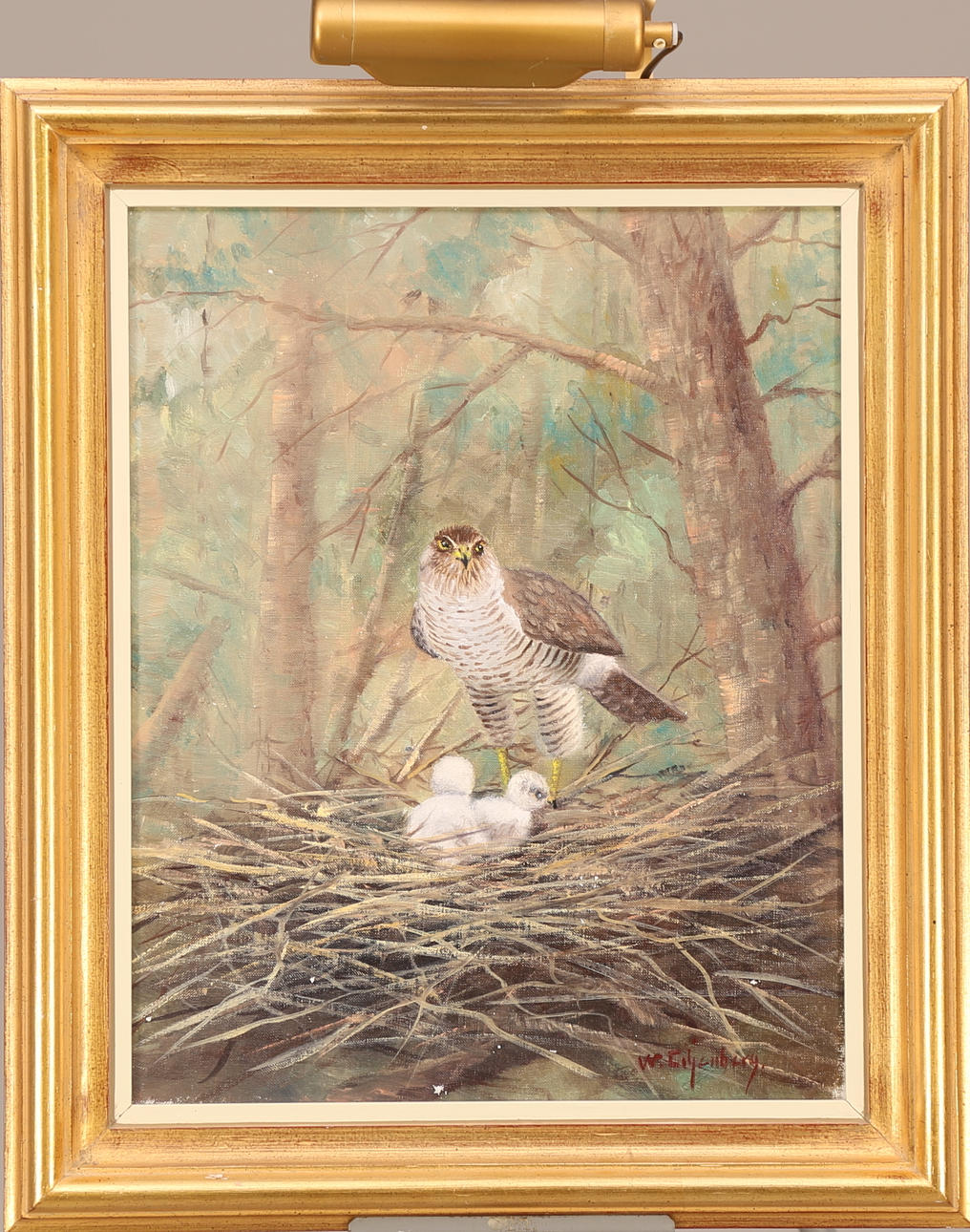 WALTER LILJENBERG. "Sparvhök W.L." olja duk signerad W.Liljenberg.