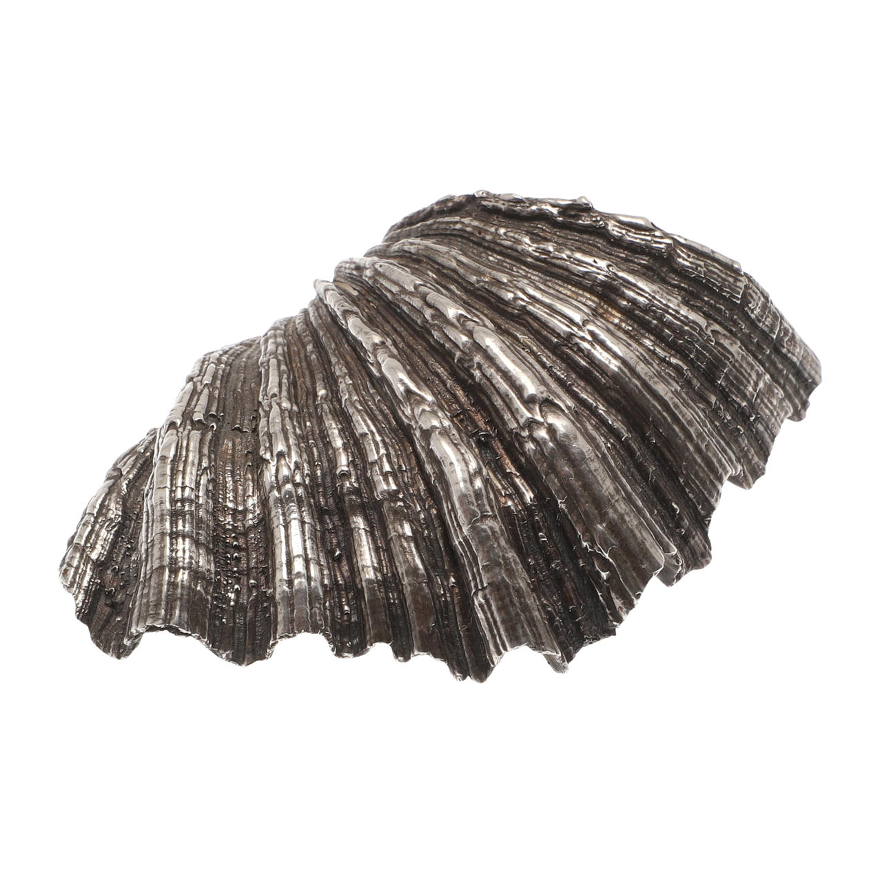 AN M. BUCCELLATI SILVER CLAM SHELL.