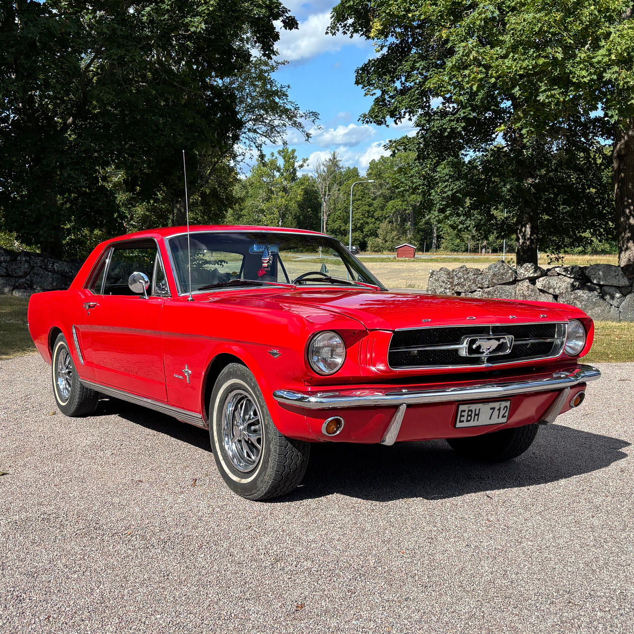 FORD MUSTANG 289, 1965, USA.