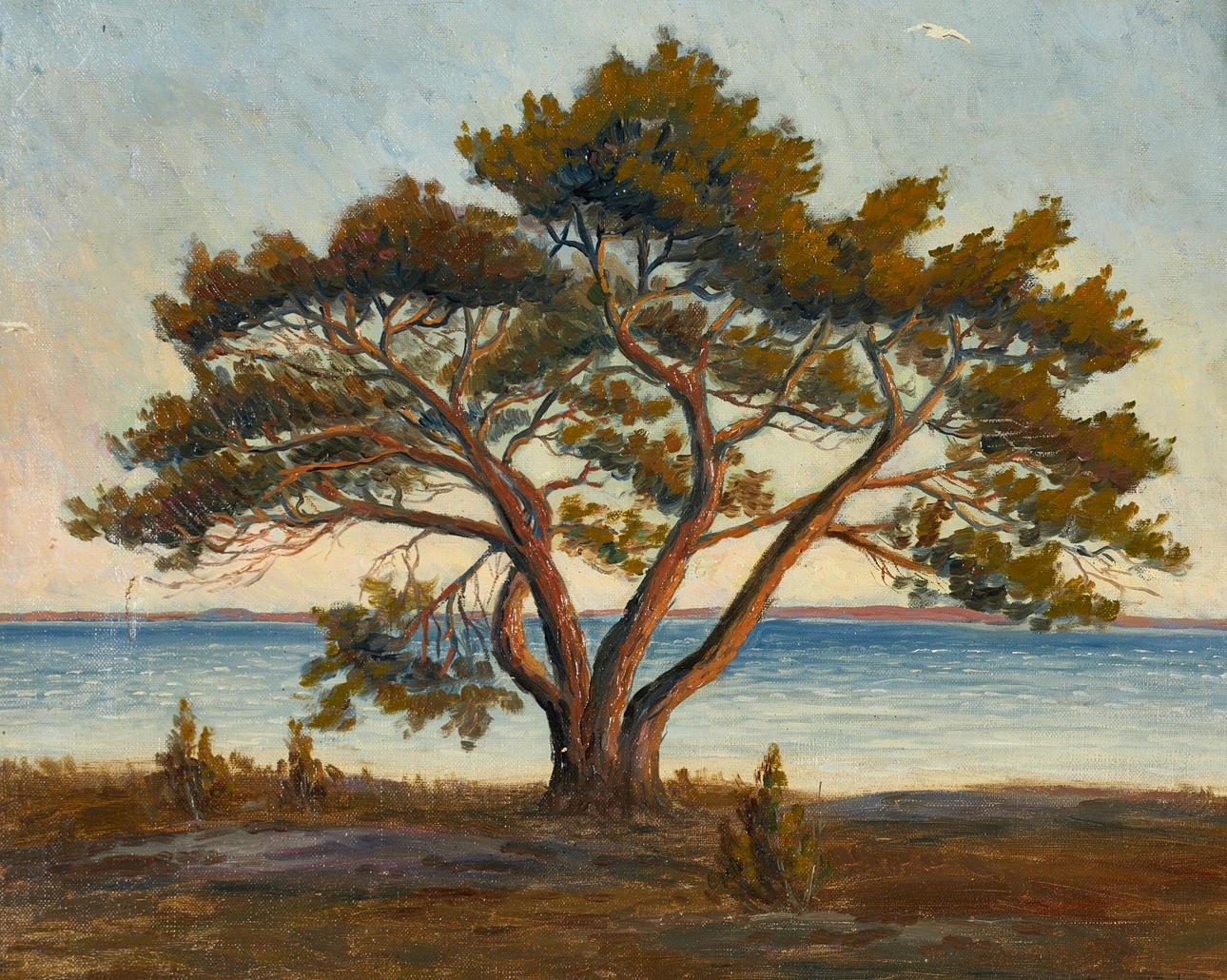 BO VON SCHWERIN (1881-1940), Tall i skärgården, signerad och daterad 1909, olja på duk
