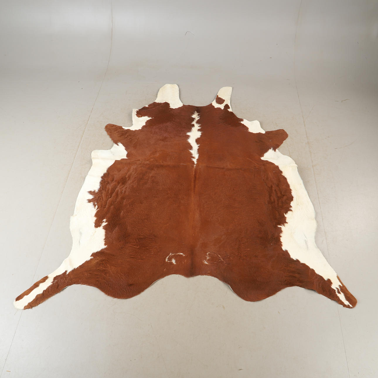 MATTA, kohud, ca 230 x 224 cm.