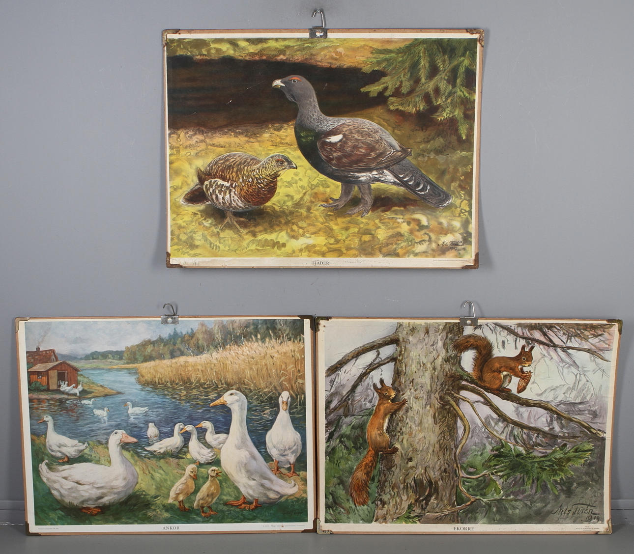 SKOLPLANSCHER, 3 st, 1900-tal.