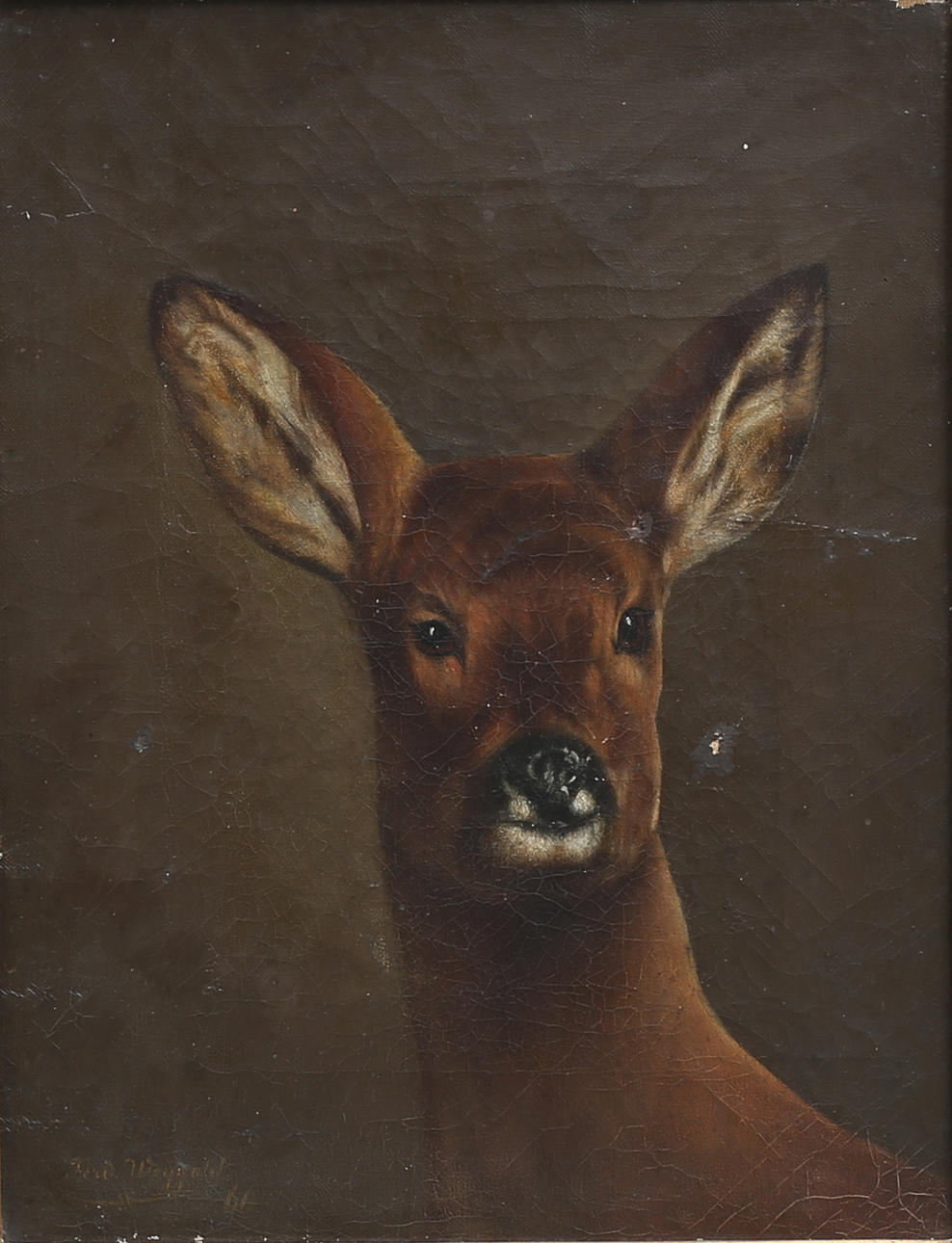 OIDENTIFIERAD KONSTNÄR. Rådjur. Olja på duk, signerad Fred Weygold, daterad -66.