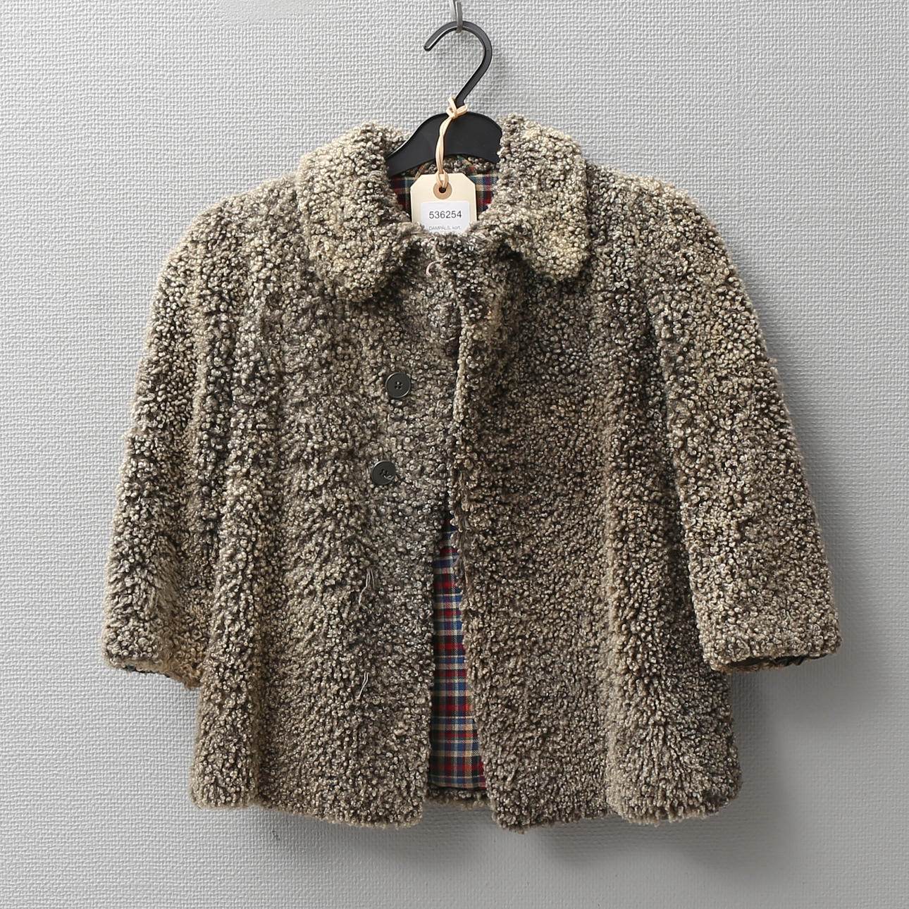 DAMPÄLS, kort, får.