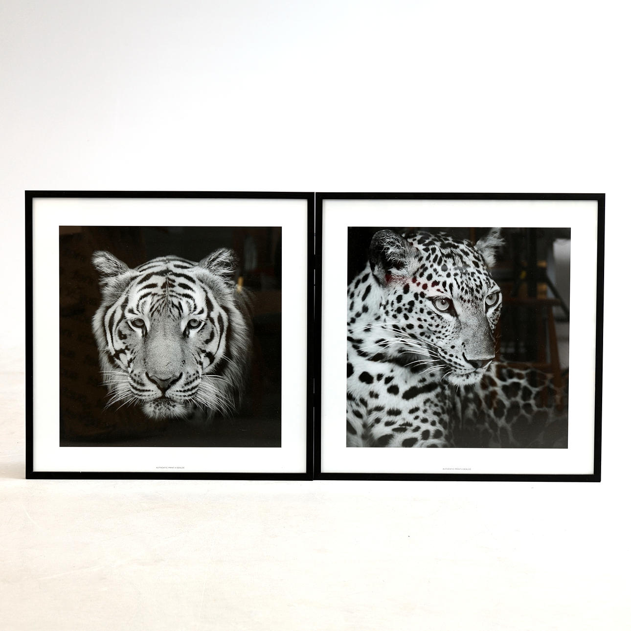 PRINTS, 2 pcs, Tiger and leopard, AUTHENTIC PRINT SEALOE.