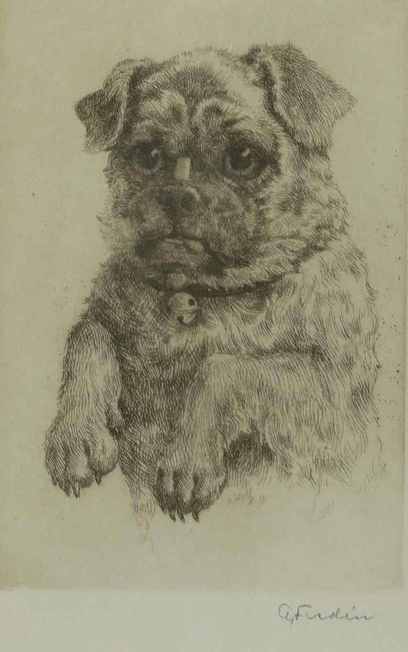 OIDENTIFIERAD KONSTNÄR. Etsning, hundporträtt, signerad.
