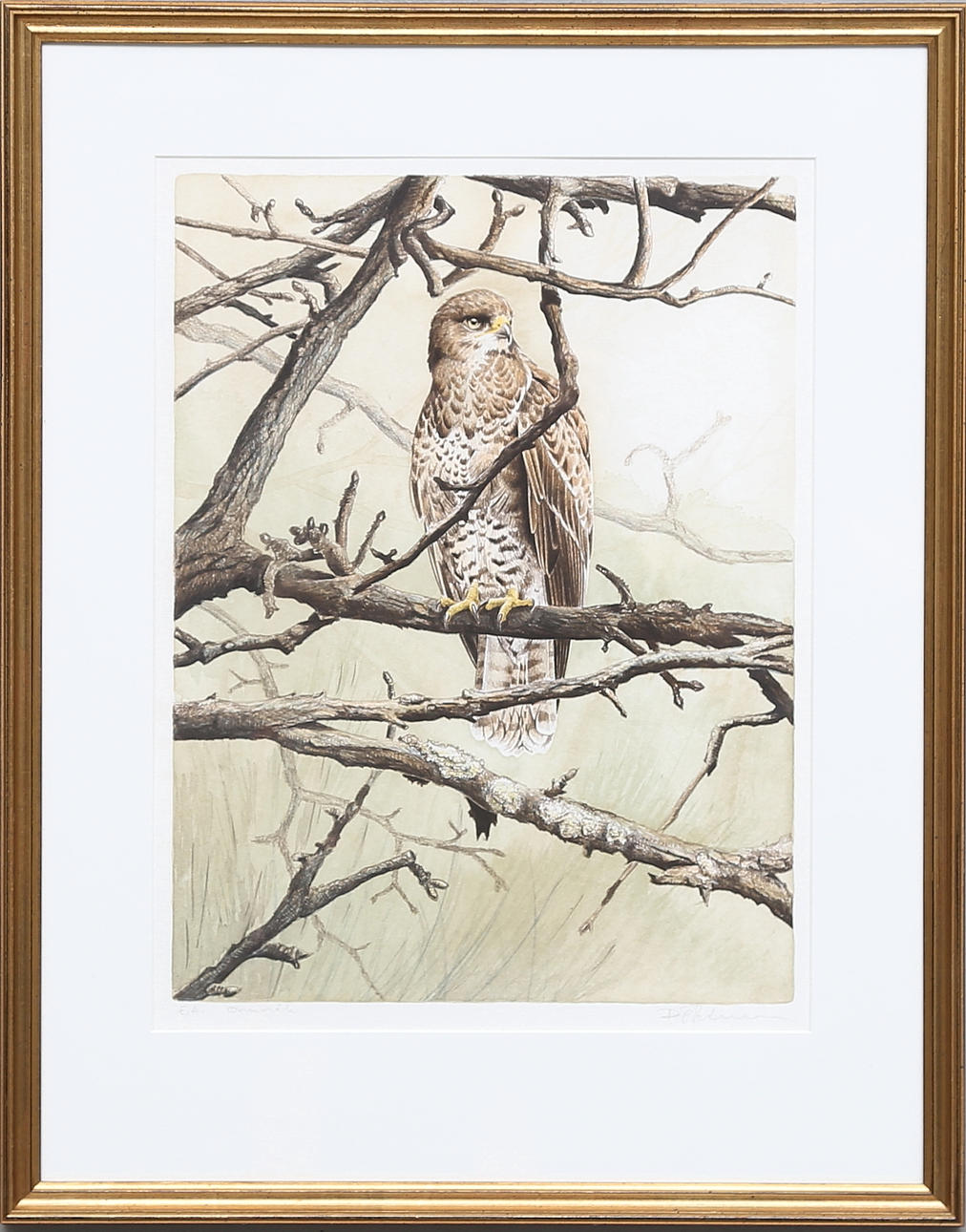 DAG PETERSON. Färgetsning, EA, signerad.