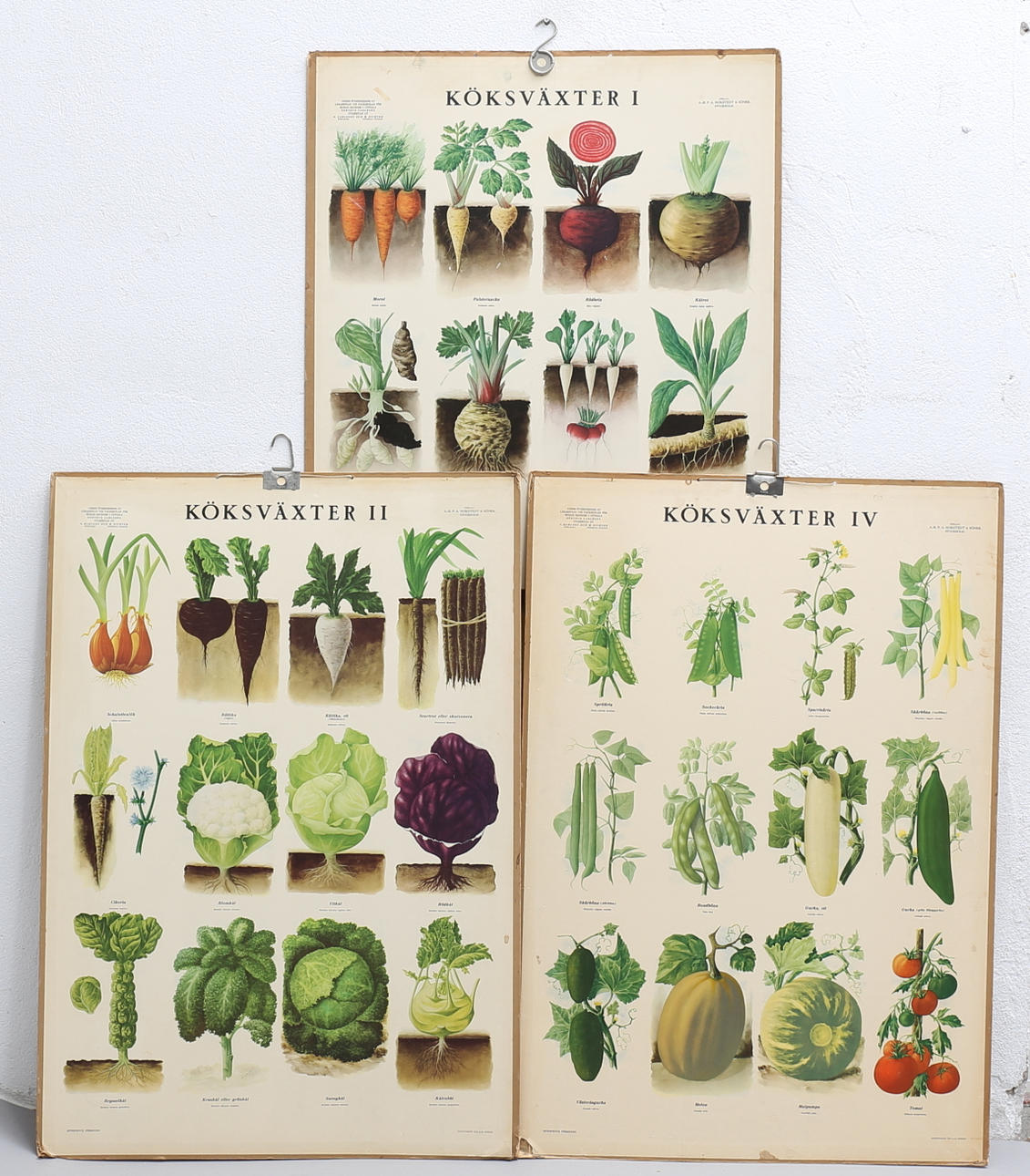 SKOLPLANSCHER (3), Köksväxter I, II samt IV, Bengtsons Lit. AB, Stockholm.