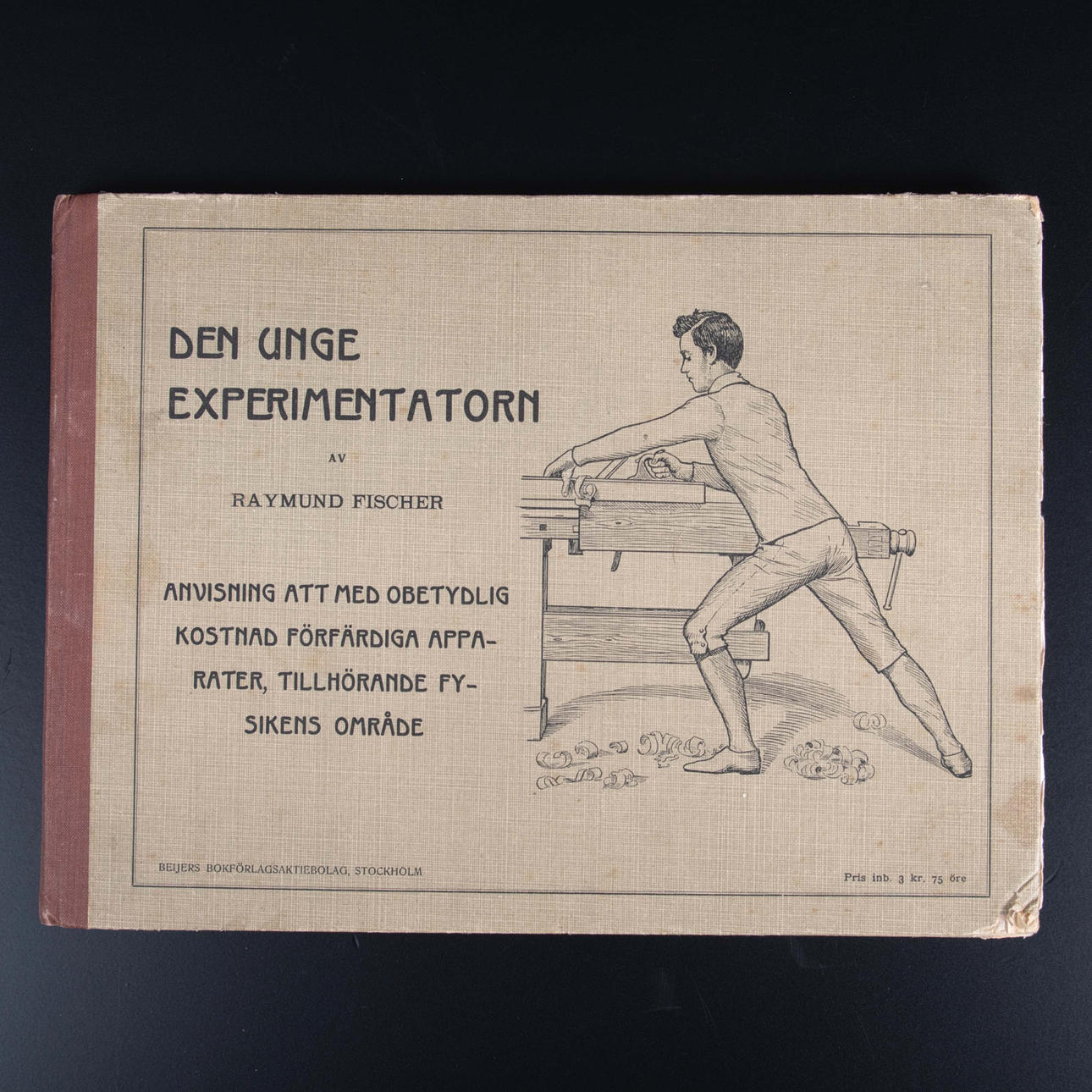FISCHER, R. Den unge experimentatorn.